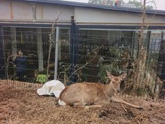 -丽泽山庄·生态怀柔菜·虹鳟鱼(红螺寺店)