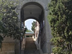 -武汉大学-樱园
