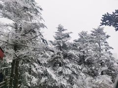 -峨眉山风景名胜区