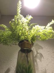 -香秀空间科技抗衰·美容中心