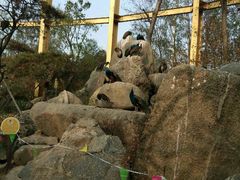 -临沂动植物园