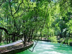 -东湖落雁景区