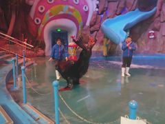 -烟台海昌鲸鲨海洋公园
