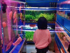 -双季花艺园艺市场(浦东店)