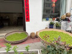 -午潮山国家森林公园