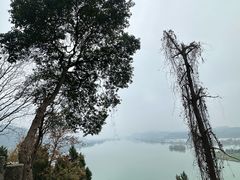 -子昂故里文化旅游区