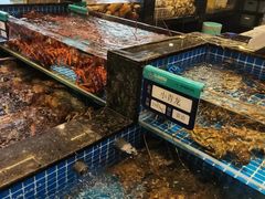 -东海怡品海鲜豆捞(舟宿夜江店)
