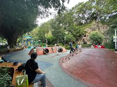 -金鸡山公园