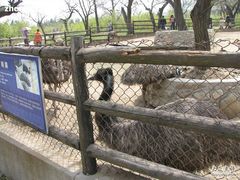 -西安秦岭野生动物园