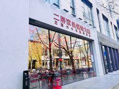 -二胖家铁锅炖大鹅(双井店)