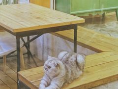-拾壹cafe·工作室