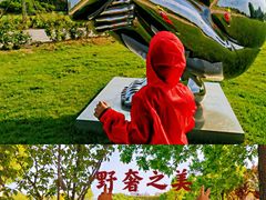 -安德鲁户外烧烤帐篷营地(马泉营店)