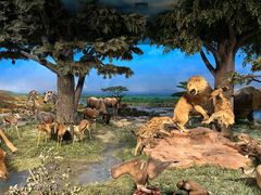 -国家自然博物馆