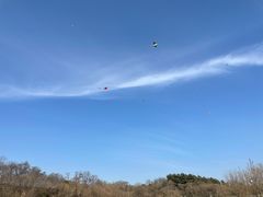 -汉陵苑