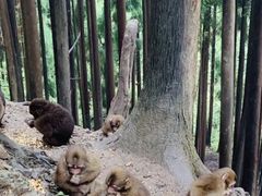 -太阳湾风景区