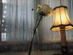 -花·fleur古董西餐厅(西城夜未央店)