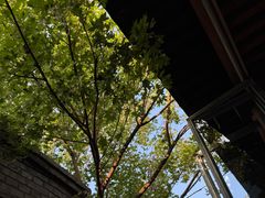 -VOYAGE COFFEE(杨梅竹店)