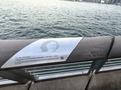 -星光大道
