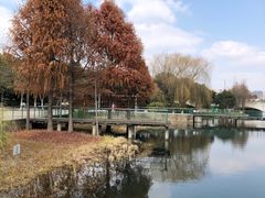 -尚贤河湿地