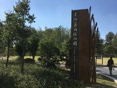 -溱湖国家湿地公园