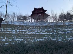 -河北省园博园