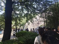 -牛背梁国家森林公园