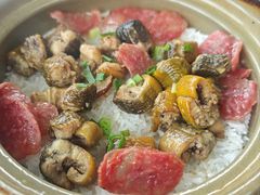 -崖口煲仔饭