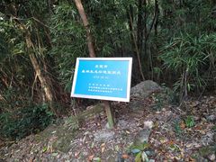 -银瓶嘴森林公园