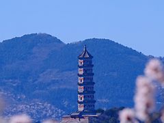 -颐和园