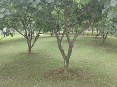 -洨河生态公园