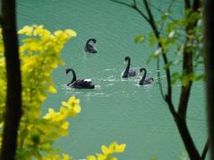 -广州白江湖森林公园