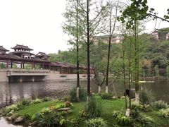 -重庆彩云湖湿地公园