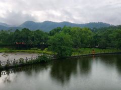 -大屏嶂森林公园