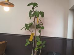 -沏点Trattoria意大利餐厅(新街口店)
