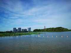 -暨阳湖生态园
