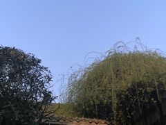 -见山书院