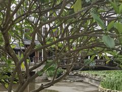 -鹅滋道(甘坑古镇店)