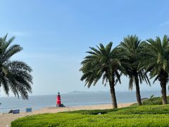 -野草莓自由市场