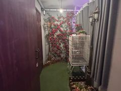 -JOJO实景沉浸侦探剧本杀(大悦城店)