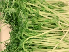 -串一火锅(赛格国际购物中心店)