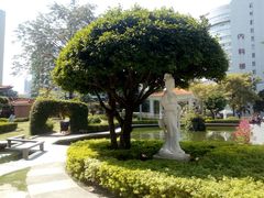 -南方医科大学南方医院(院本部)