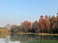 -西溪国家湿地公园