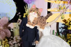 -Sugar苏格婚礼策划工作室