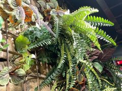 -1819餐厅·团队聚餐·烤串·精酿