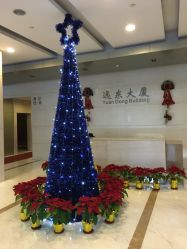 点击看大图 -V-STAR威斯达•高级私人定制