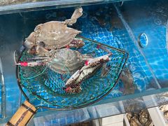 -宾朋海鲜饭庄(兴海路店)