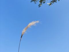 -邑家人·山水四合院