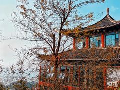 景点-石老人观光园