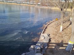 -大兴滨河森林公园