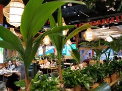 -龙泉人椰子鸡·糟粕醋·地标海南菜(龙昆南店)